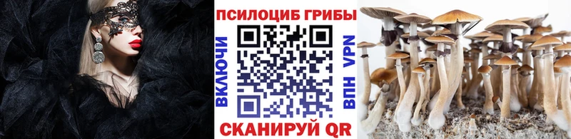 Псилоцибиновые грибы прущие грибы  сайты даркнета формула  Электроугли 
