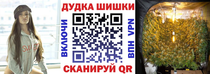 KRAKEN ТОР  Электроугли  Шишки марихуана индика 